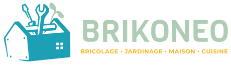 Brikoneo