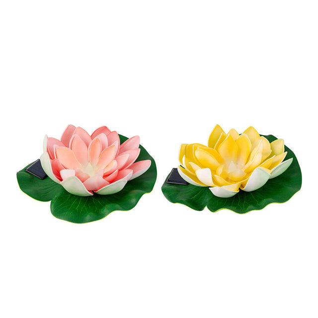 Plante décorative Fleur de Lotus Lifetime 17,5 x 6 cm