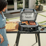 Barbecue Portable