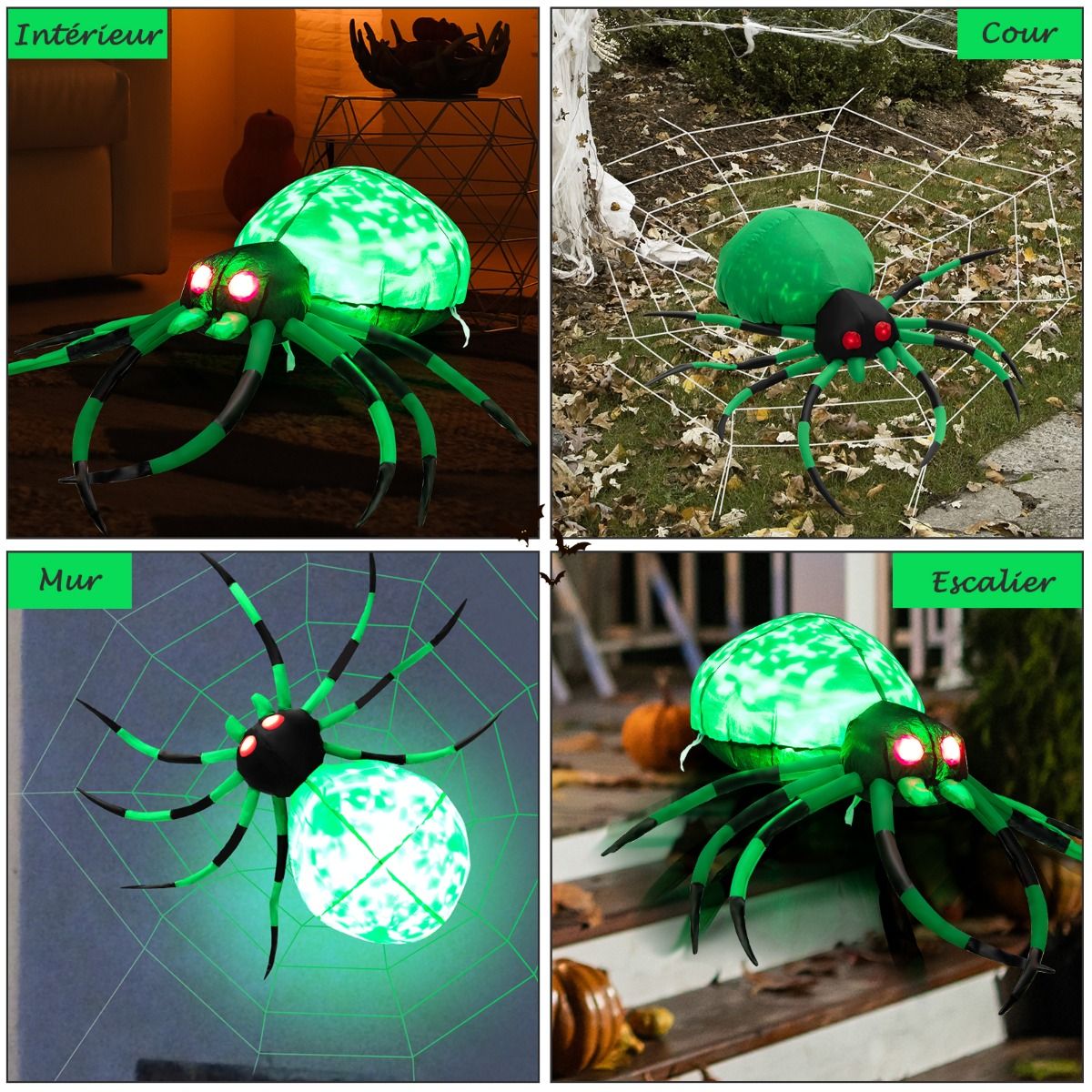 Halloween araignée 