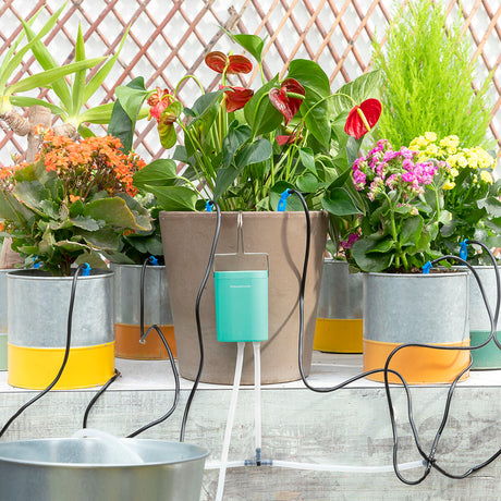 Système d’Arrosage goutte-à-goutte Automatique pour Pots de fleurs - brikoneo